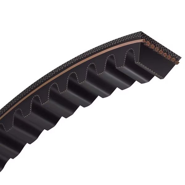 Raw Edged Cogged V-Belt B Type, 21/32